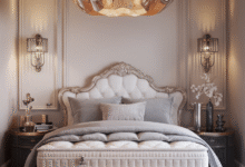 Statement Pendant or Chandelier